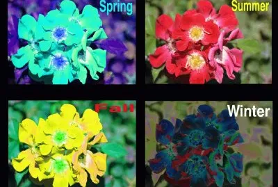 345tzhujk jigsaw puzzle