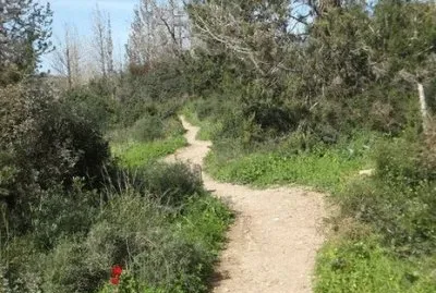 ×”×©×‘×™×œ ××œ ×”××•×©×¨