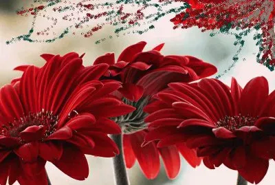 flores jigsaw puzzle