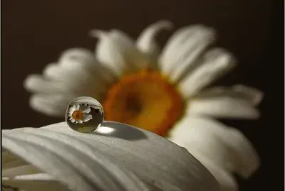 sol del desierto