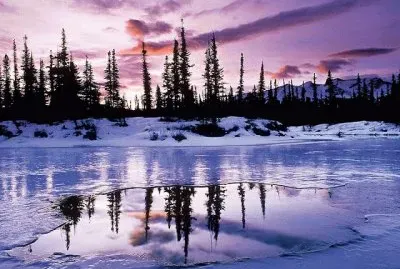 sol del desierto jigsaw puzzle