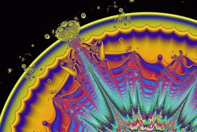 sun spot jigsaw puzzle