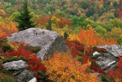 rocky outcropping