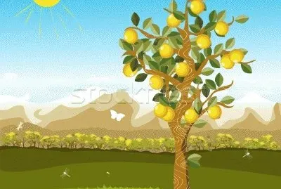 foto jigsaw puzzle
