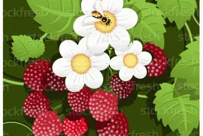 image jigsaw puzzle