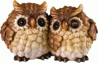 פאזל של civette