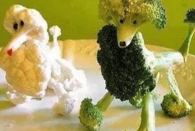 edible poodles jigsaw puzzle