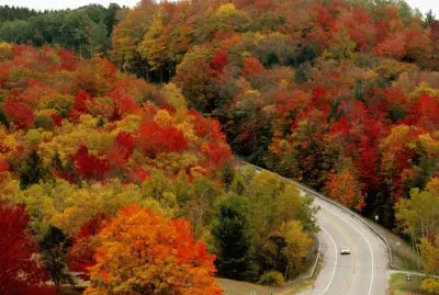 fall colors