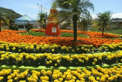 FaraÃ³n jigsaw puzzle