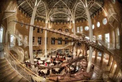 FaraÃ³n jigsaw puzzle