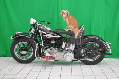 FaraÃ³n jigsaw puzzle