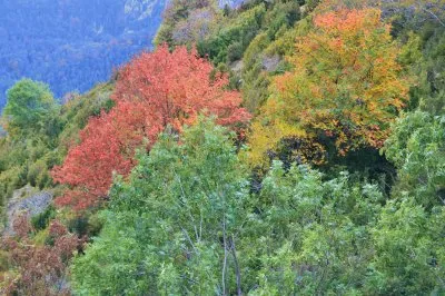 Paisatje de  Tardor jigsaw puzzle