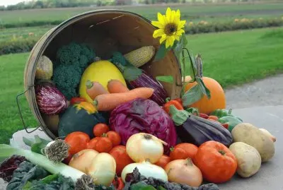 farm bounty