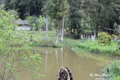 NATUREZA