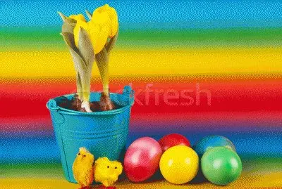 פאזל של foto