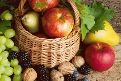 Fruites de tardor jigsaw puzzle