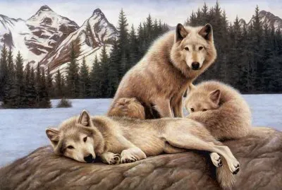 animales