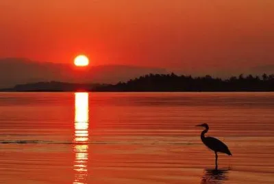 tropical sunset jigsaw puzzle
