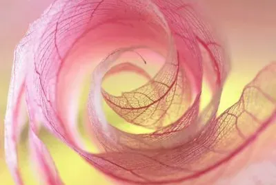 natural curl