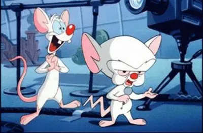 Pinky and the Brain jigsaw puzzle