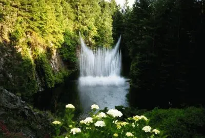 sol del desierto jigsaw puzzle