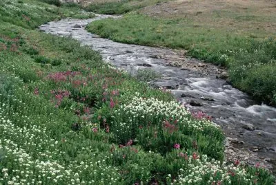 CaÃ±ada jigsaw puzzle