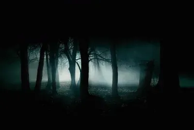 bosque nocturno