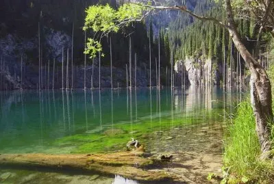 lago