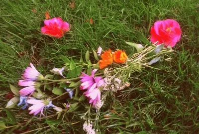 פאזל של Flors