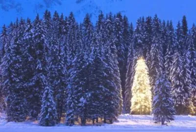 december17_ jigsaw puzzle