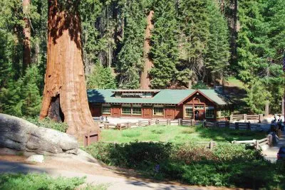 פאזל של Redwoods visitor center
