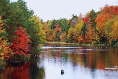 Fall colours jigsaw puzzle