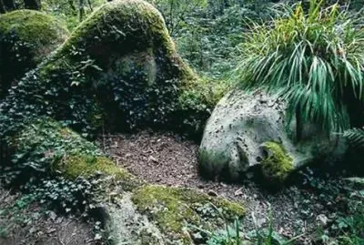 פאזל של Natura