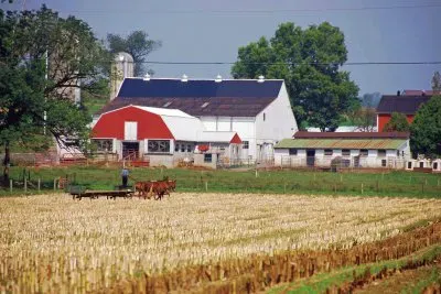 Amish farm jigsaw puzzle