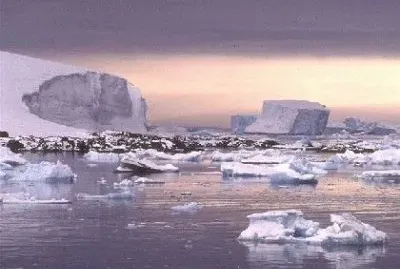 calentamiento global jigsaw puzzle