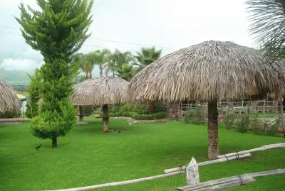 palapas