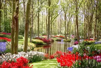 Jardim