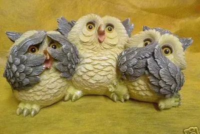 פאזל של civette