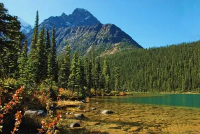 Cavell Lake, Jasper NP