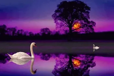 espectacular