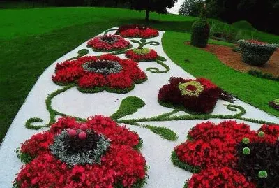 rosas rojas