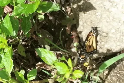 Puerto Rico 2 jigsaw puzzle