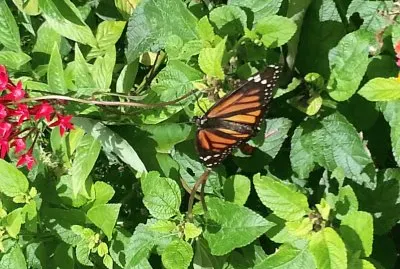 Puerto Rico 3 jigsaw puzzle