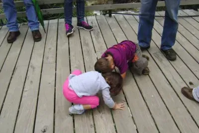 buscando peces