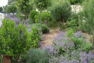 JardÃ¬