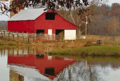 barn and farm pond