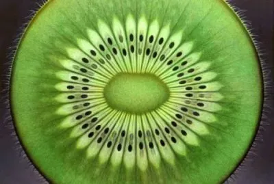 kiwi
