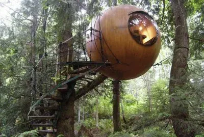 tree house b b