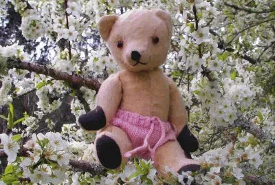 Teddy bear