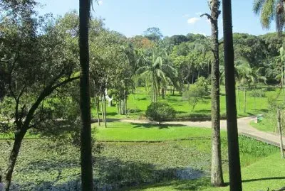 Plantas e Animais